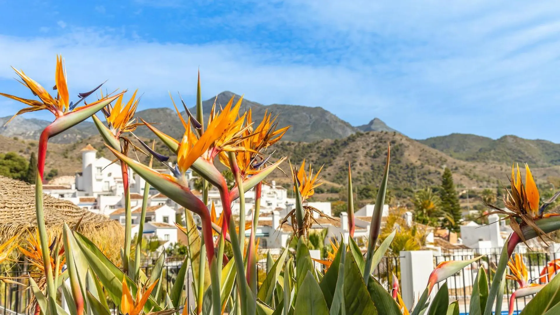 Las Palmas 15C Oasis Properties Nerja Spain