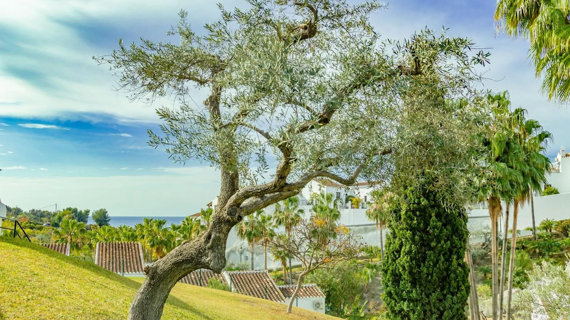 Las Palmas 15C Oasis Properties Nerja 0*,